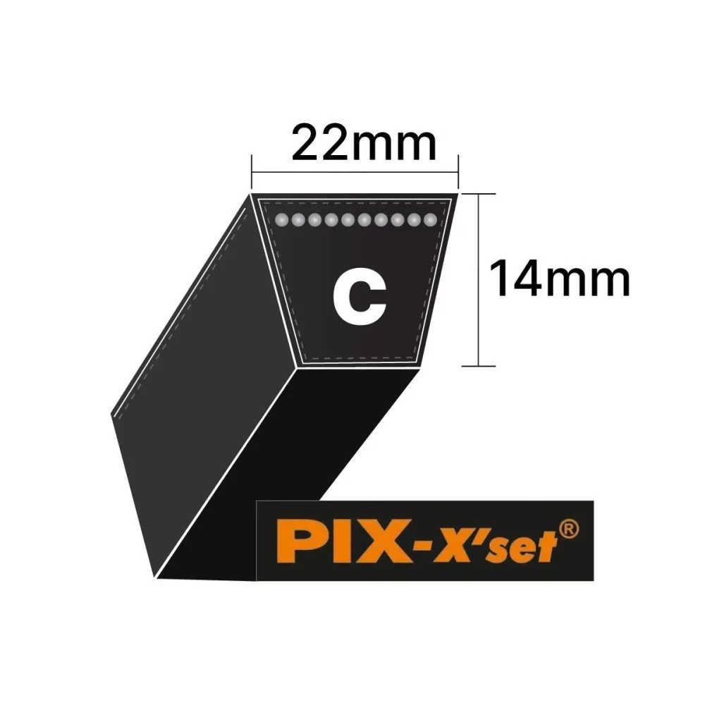 C-belts-(22x14)